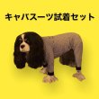 画像1: キャバスーツ試着セット（370円相当ポイントバック付き） (1)