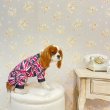 画像5:  ２月新作 【キャバスーツ　LIMITED】UK PINK (5)