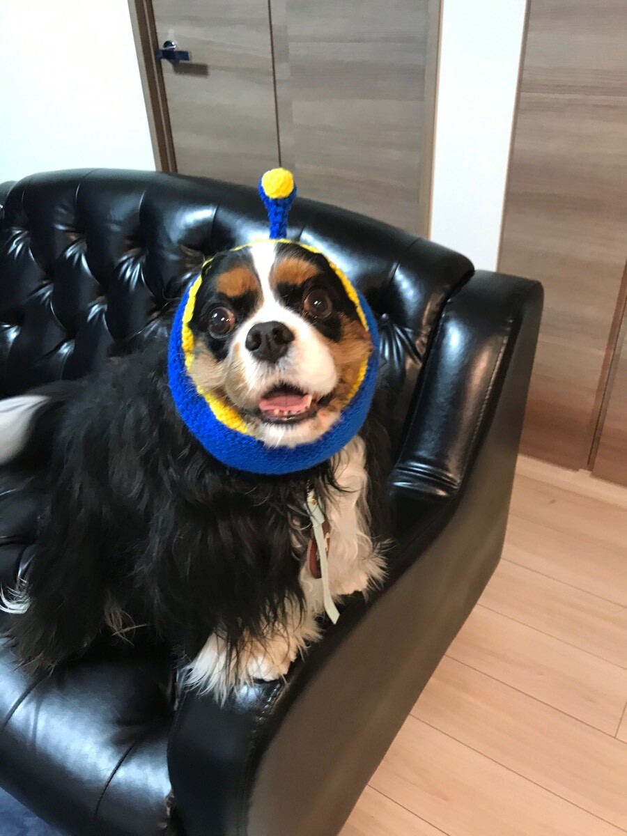 宇宙犬スヌード キャバえもん宇宙犬スヌード ｉｎｕ ｃｌｏｓｅｔ